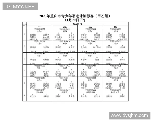 南京羽毛球队与重庆羽毛球队赛后分析个人能力对比与表现总结